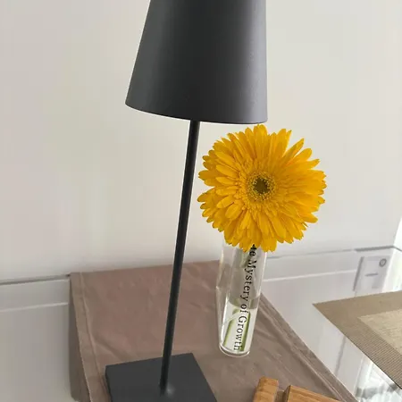 Angolo Di Zoe * Trieste