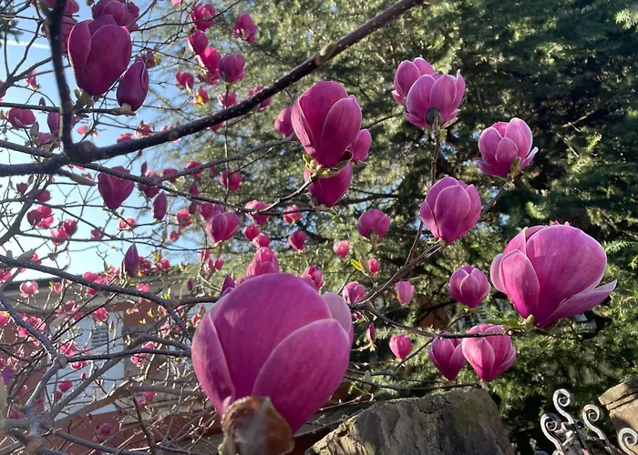 Angolo Di Zoe Lägenhet *