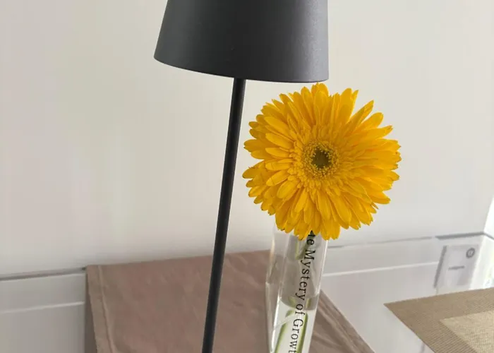 Angolo Di Zoe * Trieste